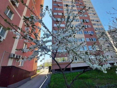 квартира Новокодакский (Ленинский)-74 м2