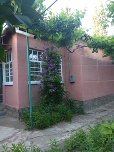м. Берегово (Чопівка) продається сімейний будинок