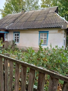 Дом в Житомирской области, Брусилівський район, с. Соловіївка