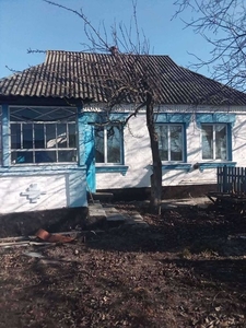 Будинок в селі Красне, Київська область, Білоцерківський р-н