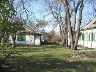 Продается дом с землей от собственника с. Могилев Царичанского р-на