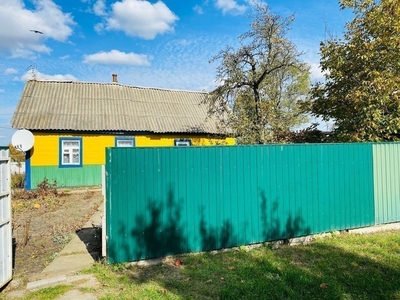 Приватний будинок м. Коростень, вул. Козаченка, 11 соток.