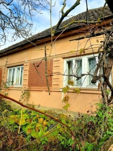 Продажа домов Дома, коттеджи 78 кв.м, Закарпатская область, Береговский р-н, Квасово