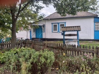 Продажа домов Дома, коттеджи 70 кв.м, Киевская область, Барышевский р-н, Остролучье