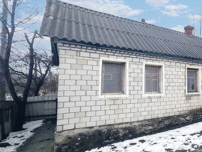 Заміський будинок біля озера в селі Запрудка