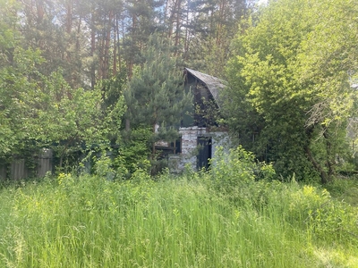 Будинок у лісі Таценки Плюти Обухів