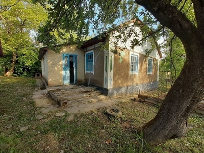 Продам будинок в селі Обухів