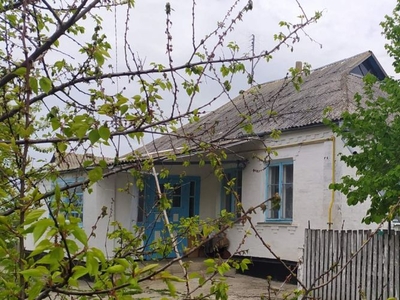 Продажа домов Дома, коттеджи 77 кв.м, Киевская область, Сквирский р-н, Великополовецкое