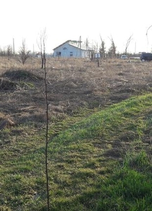 Земельный участок селе Петровское под строительство дома