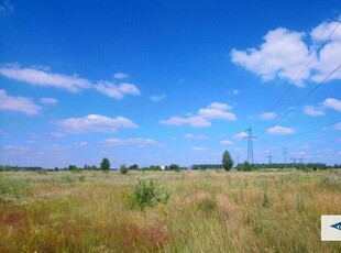 Продажа земельного участка в Тарасовке (Киево-Святошинский)