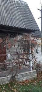 Продажа домов Дома, коттеджи 38 кв.м, Киевская область, Фастовский р-н, Кощиевка