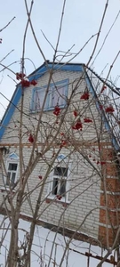 дом Ковпаковский-55 м2