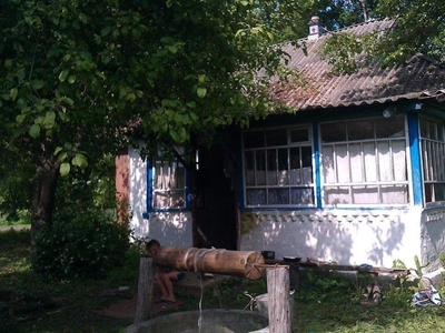 Будинок в селі, дача Козелецький р-н