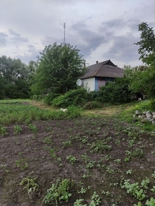 Продам дім в Полтавській області