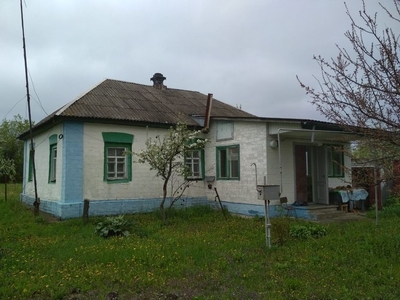 Продам дом с Гоголев, Київська область