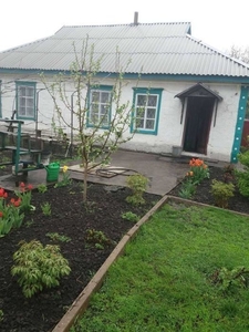 Продам житловий будинок в Кременчуцькому районі, Полтавської області