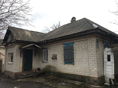 Кирпичный дом в центре Раковки