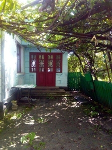 Будинок в с. Солгутово