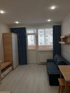 Аренда 1-комнатной квартиры 30 м², Олевская ул.