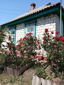 Продам дом в селе Кривуши, Кременчугского района, улица Первомайская 8