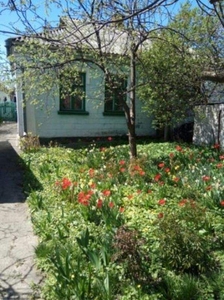 дом Старогородской-44 м2