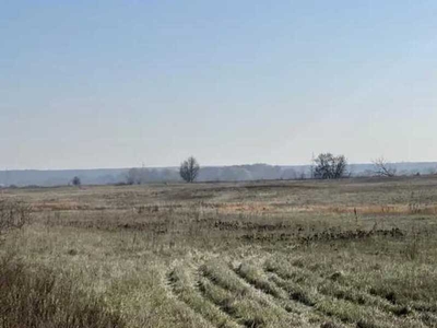 продаж ділянка сільськогосподарського призначення Броварський, Пухівка, 237000 грн.