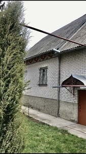 Будинок в селі