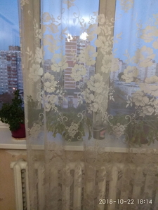 Аренда комнаты квартиры ул. Лифаря Сержа (Сабурова Александра) 5 в Киеве