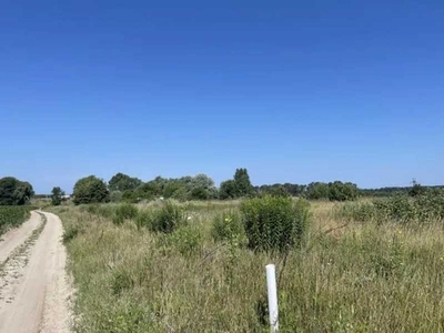 Продажа земельного участка в Рожевке