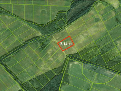 Продам земельну ділянку в Козичанка 2,14 га під забудову