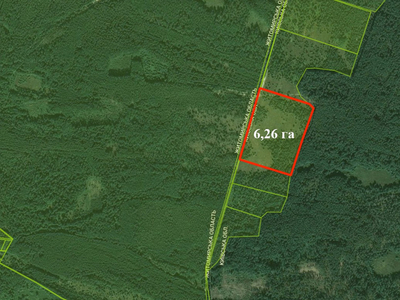 Продам земельну ділянку в Грузьке 6,26 га під забудову