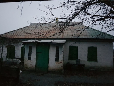 Будинок в селі Пологи iз великою площею землі