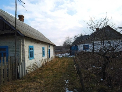 Продам будинок Витковичи, 2 будинки + пай, від власника