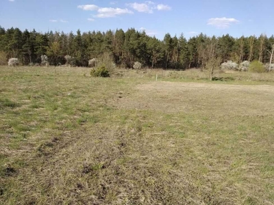 Продаж земельної ділянки Лукасевича Шевченківський район Без комісії