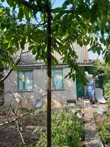 дом Суворовский-56 м2