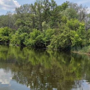 Терміново продам затишну дачу біля річки.