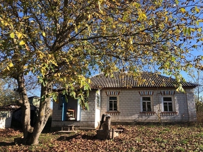 Дерев'яний будинок з садом