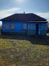 Продам дом с участком в с. Савин Черниговская обл.