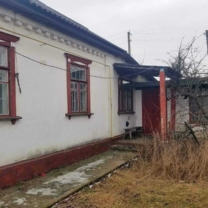 Продам срочно не дорого дом в с. Гельмязов Черкасской области